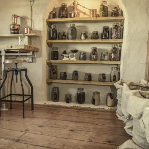 ginschool28-1024x668