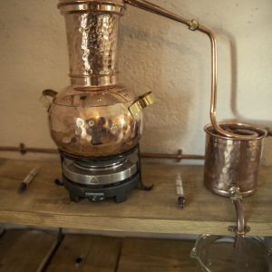 ginschool31-683x1024